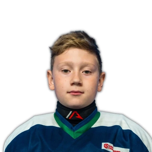 Силаев Дмитрий Евгеньевич