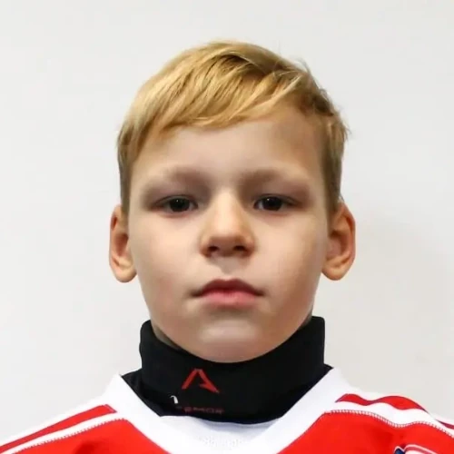 Жихарев Матвей Игоревич