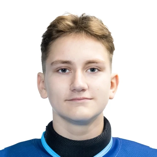Горбунов Данил Сергеевич