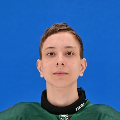 Галиуллин Амир Ильдарович