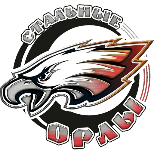 Стальные Орлы