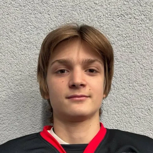 Стонис Тимофей Александрович