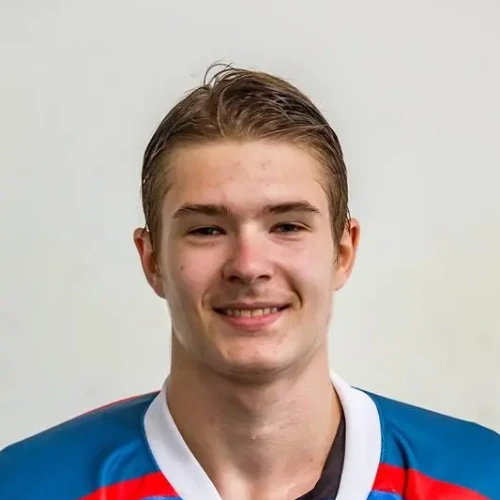 Денискин Лев Александрович