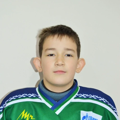 Сибецкий Александр Ильич