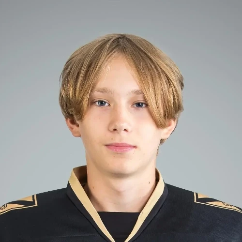 Жиронкин Тимур Денисович