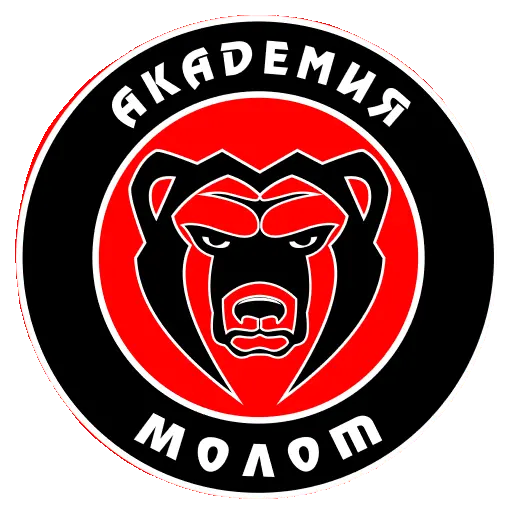 Академия Молот