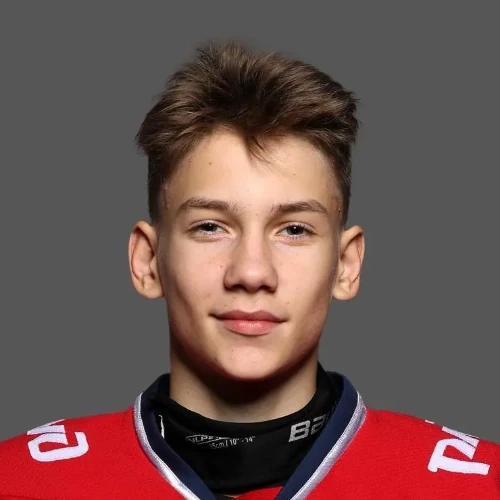 Никитин Захар Игоревич
