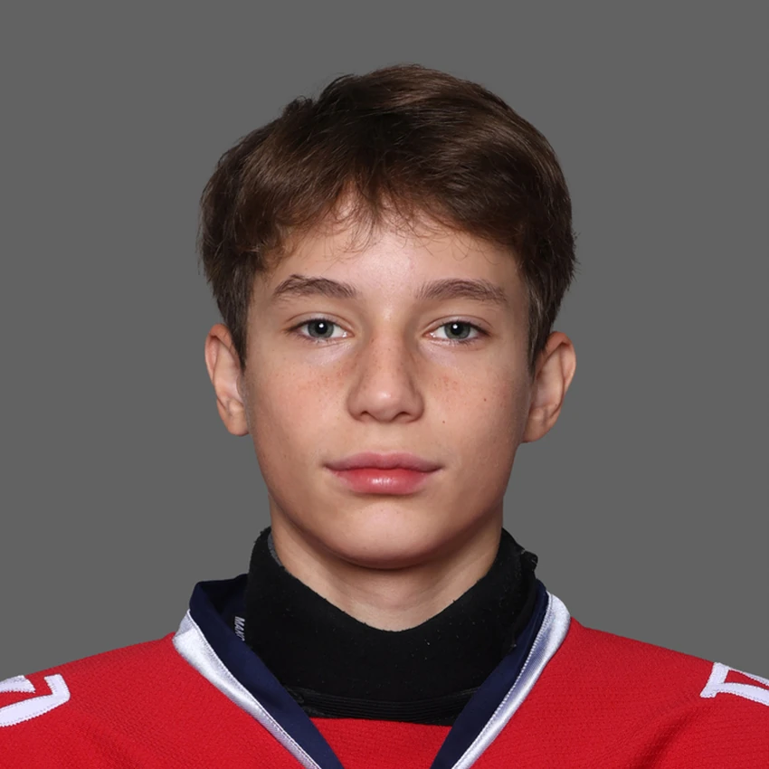 Лебедев Максим Дмитриевич