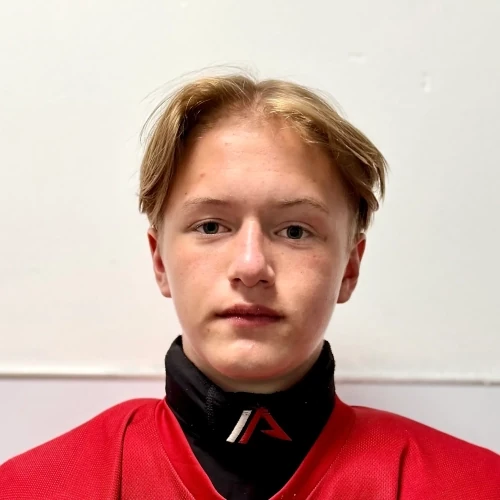 Коровин Илья Данилович