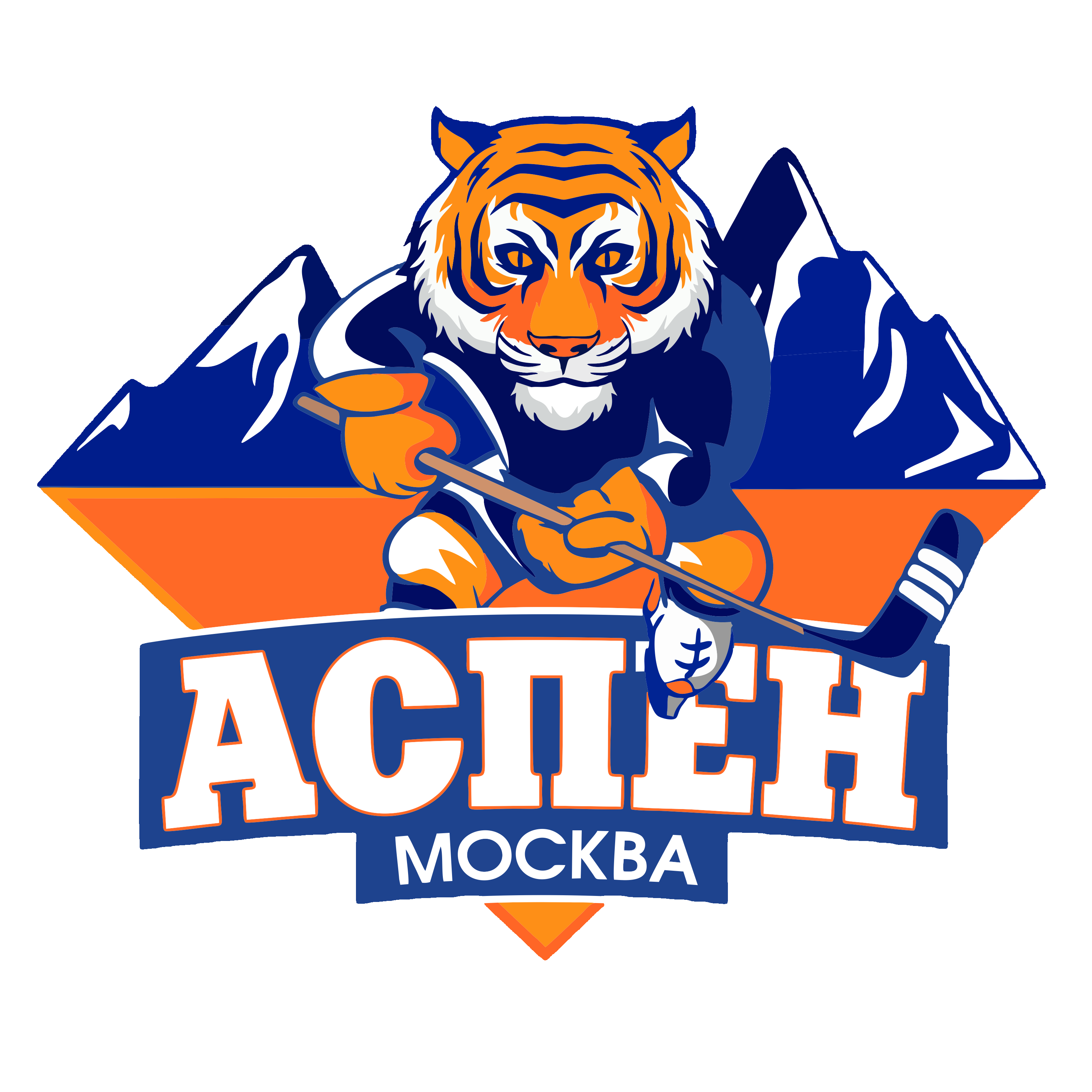 Аспен 2012