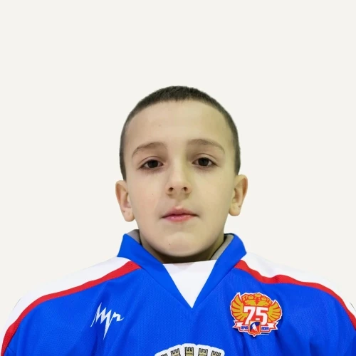 Таничев Назар Романович