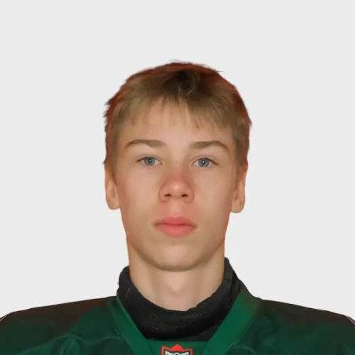 Гавейка Никита Александрсович