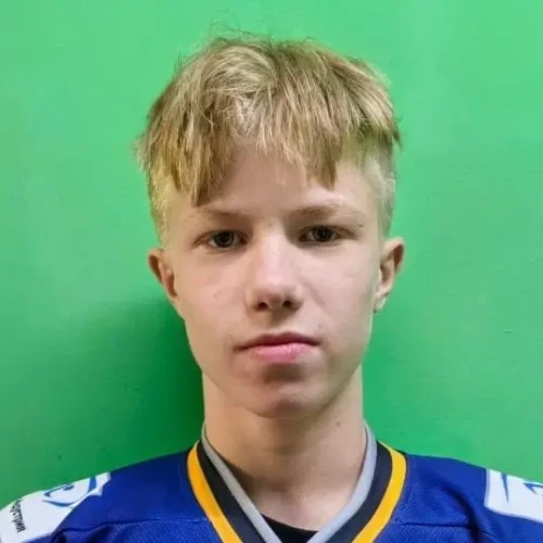Зибарев Арсений Игоревич