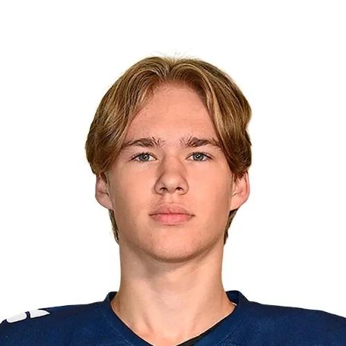 Шуралев Александр Дмитриевич