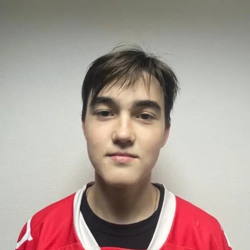 Поветкин Данил Сергеевич