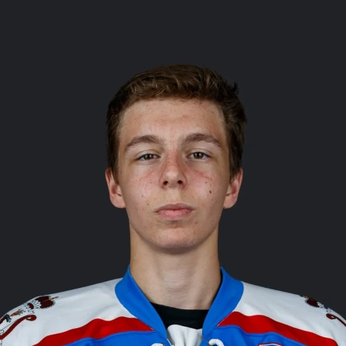 Гришков Вадим Сергеевич