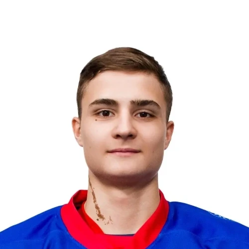 Зулкарнаев Ильмир Ильдарович