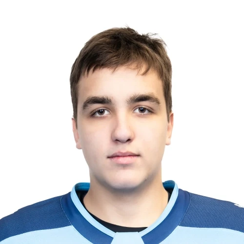 Ловчиков Михаил Артемович