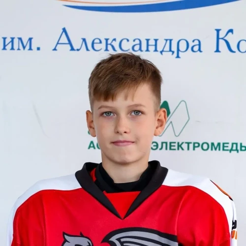 Шарапов Максим Александрович