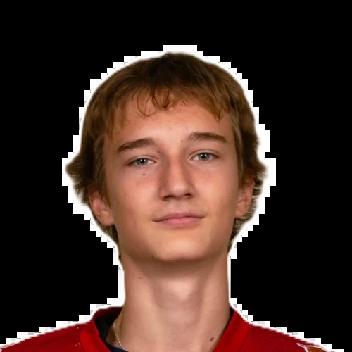 Игольницин Клим Степанович