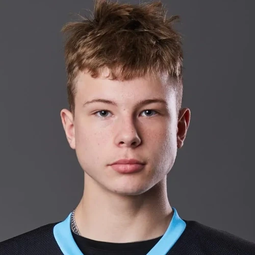 Гук Арсений Вадимович