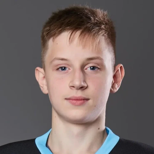 Селезнев Артем Александрович