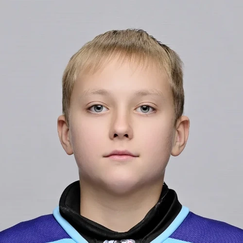 Губарев Дмитрий Владимирович