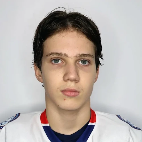Лашин Денис Витальевич