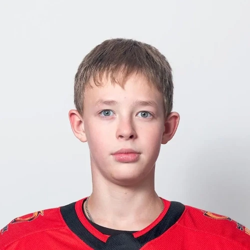 Чесноков Аркадий Романович