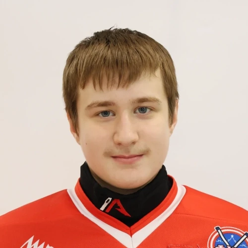 Матвеев Игорь Витальевич