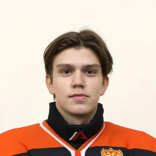 Третьяков Николай Олегович