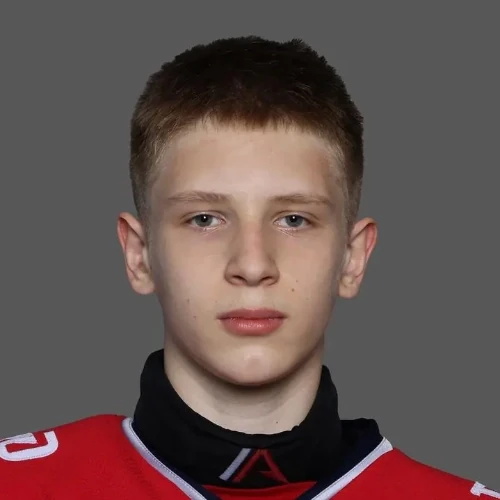 Колесников Ярослав Сергеевич
