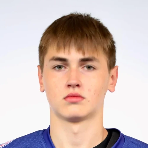 Никодон Дмитрий Олегович