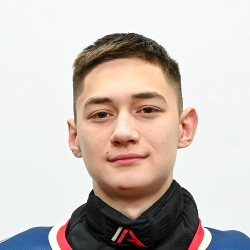 Гумеров Данис Артурович