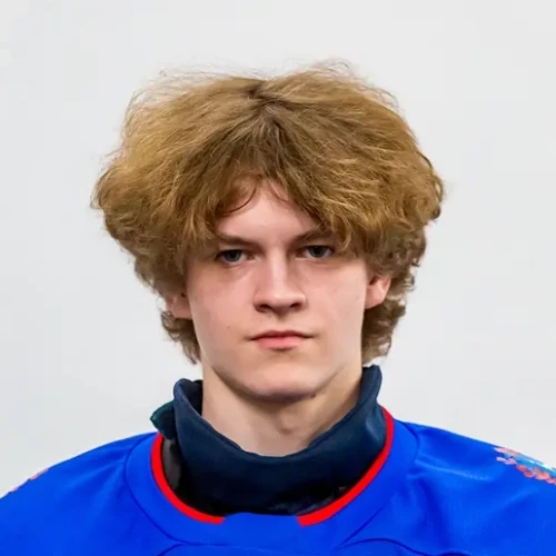 Мальгин Андрей Игоревич