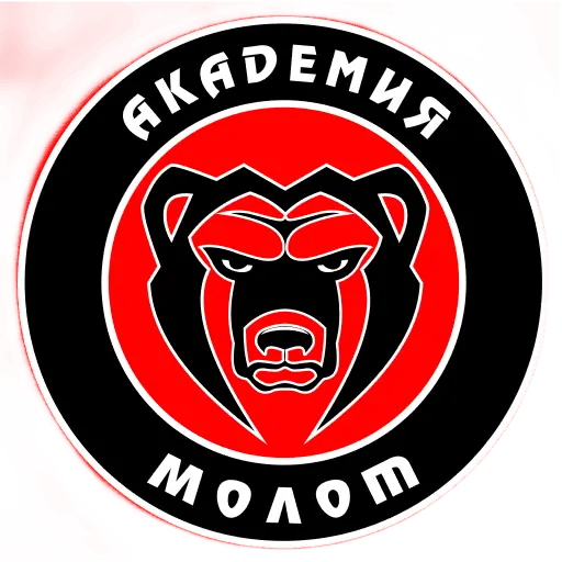 Академия Молот