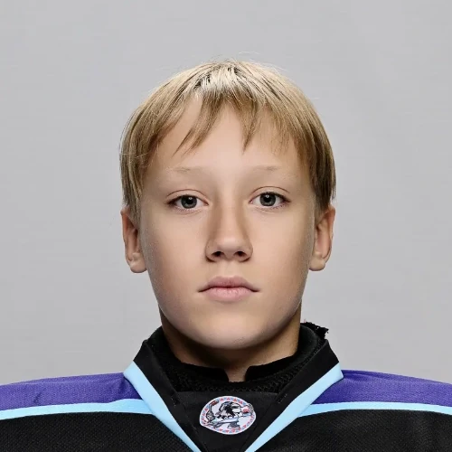 Лихоманов Алексей Николаевич