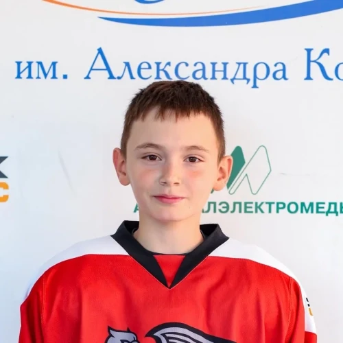 Гиззатуллин Денис Ильгизович