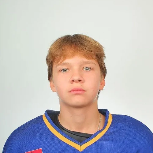 Шестаков Дмитрий Леонидович