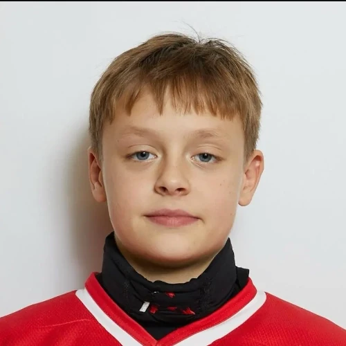 Сафошин Тимофей Витальевич
