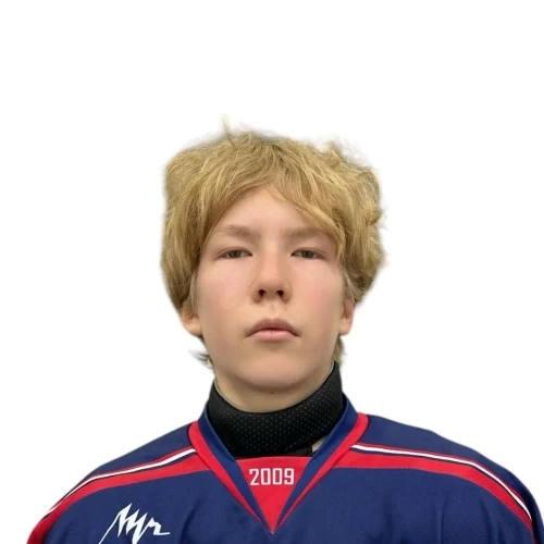 Порфирьев Максим Дмитриевич