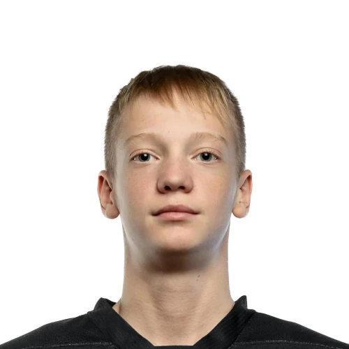 Сорокин Александр Евгеньевич