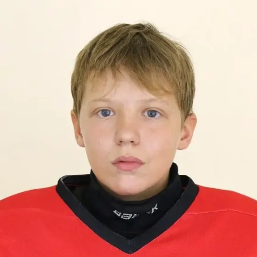 Шестаков Александр Дмитриевич