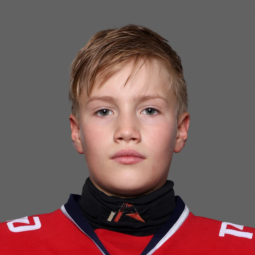 Гладышев Дмитрий Ильич