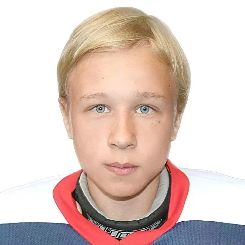 Родяшин Даниил Станиславович