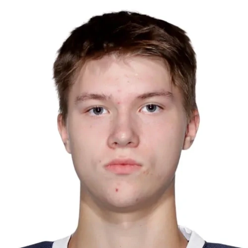 Орлов Матвей Евгеньевич