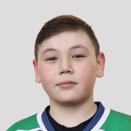 Гумеров Динислам Рафисович