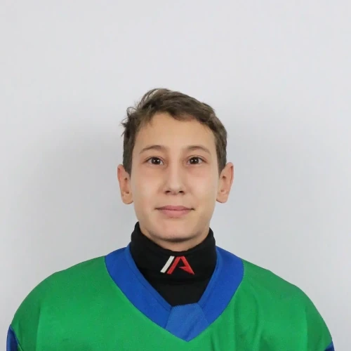 Гайсин Амир Ралифович