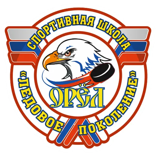 СШ Ледовое Поколение