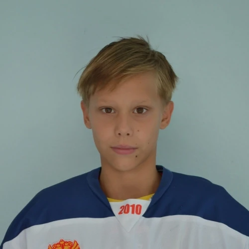 Сисин Владимир Алексеевич